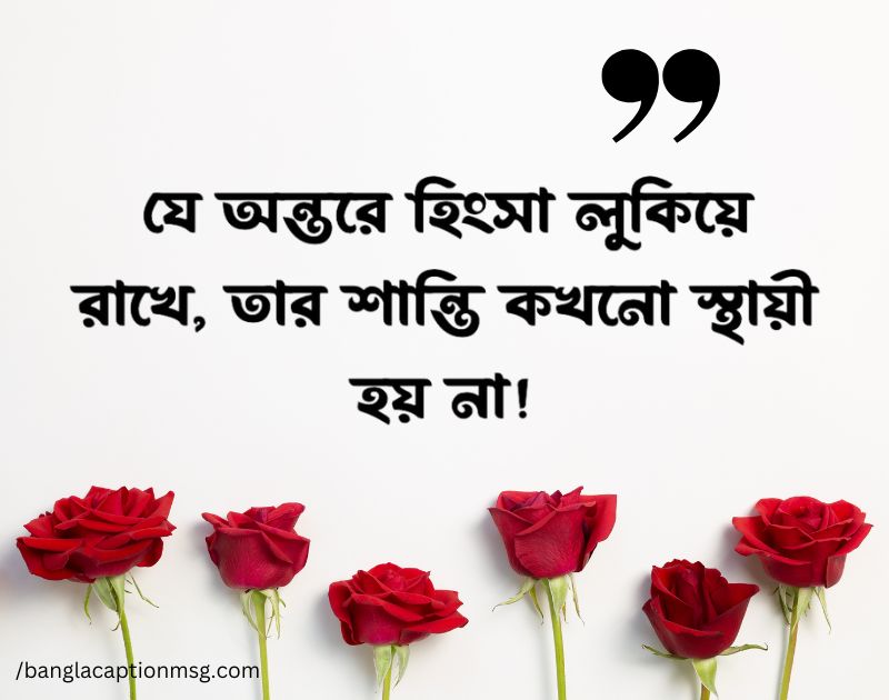 হিংসা নিয়ে ইসলামিক উক্তি