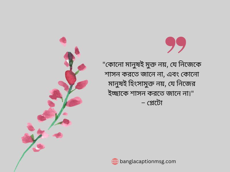 হিংসা নিয়ে উক্তি-প্লেটো