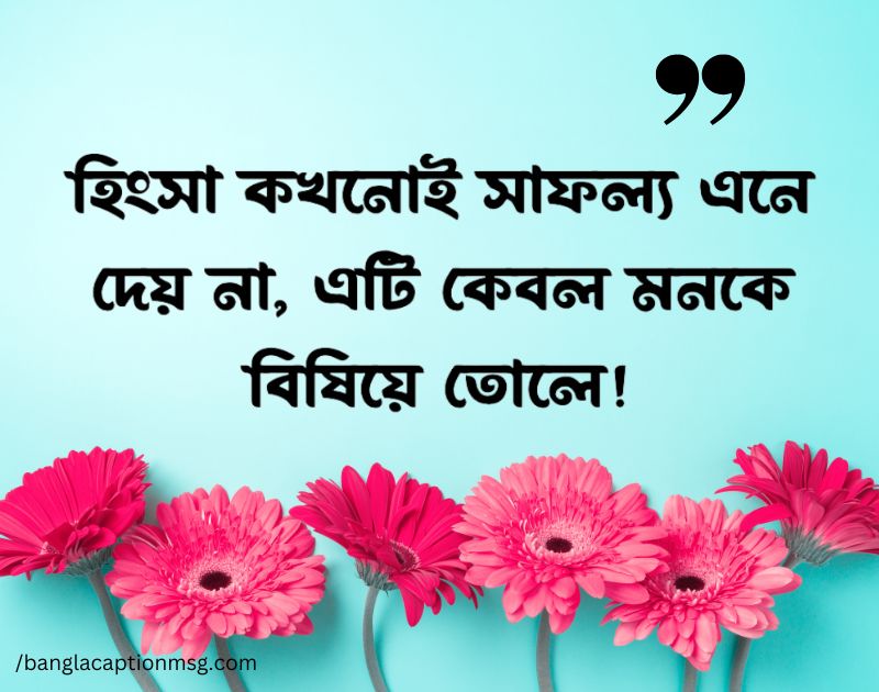 হিংসা নিয়ে ক্যাপশন