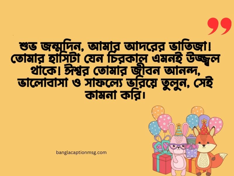 ছোট ভাতিজার জন্মদিনের শুভেচ্ছা