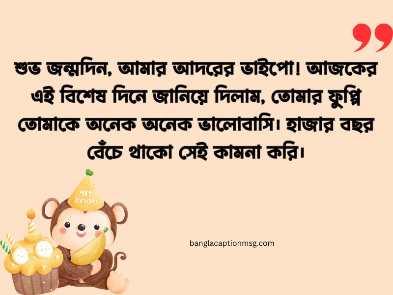 ভাইপোর জন্মদিনের শুভেচ্ছা ক্যাপশন