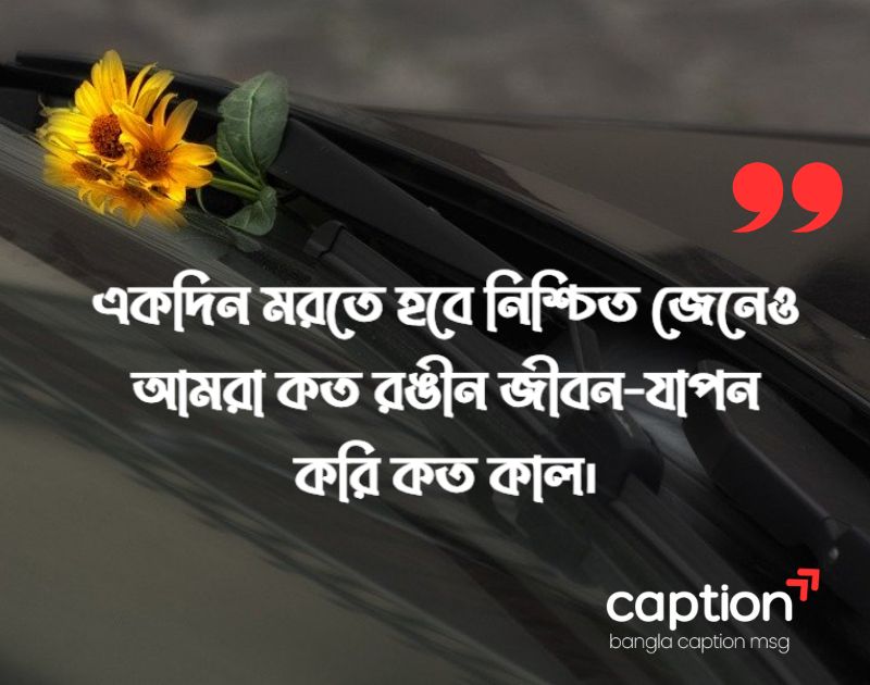 প্রোফাইল পিক ক্যাপশন