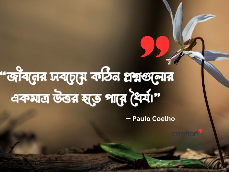 ধৈর্য নিয়ে উক্তি