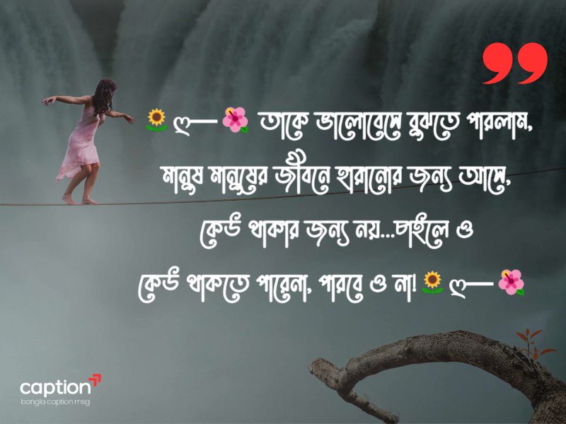 বিরহের স্ট্যাটাস