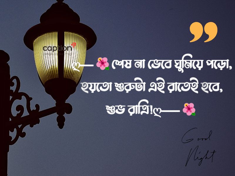 শুভ রাত্রি রোমান্টিক মেসেজ