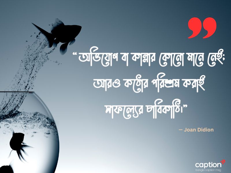 সফলতার উক্তি