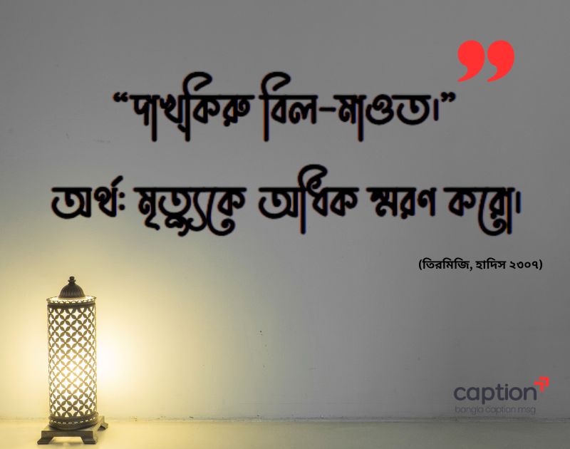 দৈনন্দিন জীবনে ছোট ছোট হাদিস