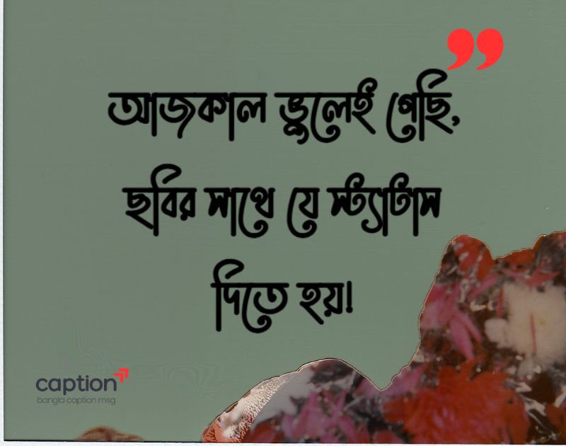 নিজের ছবি নিয়ে স্ট্যাটাস