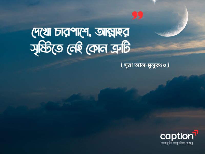 প্রকৃতি নিয়ে ইসলামিক ক্যাপশন