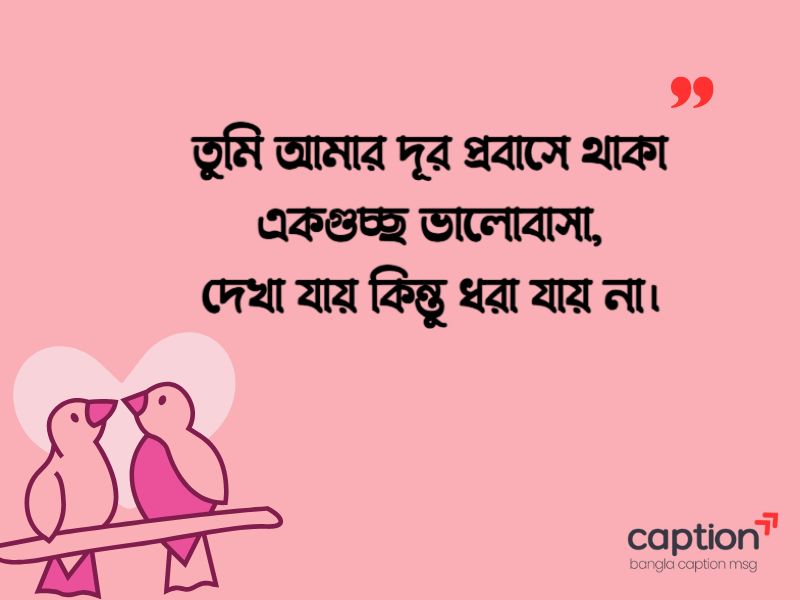 প্রবাসী স্বামীকে নিয়ে স্ট্যাটাস