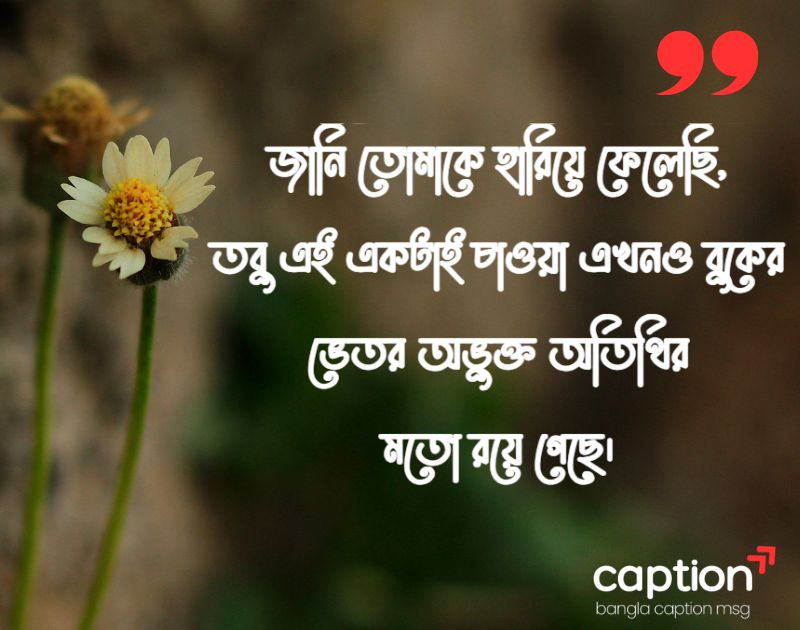 প্রিয় মানুষকে নিয়ে কিছু কষ্টের কথা