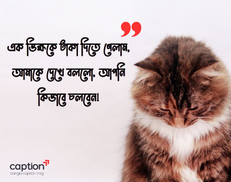 ফেসবুক ফটো ক্যাপশন বাংলা