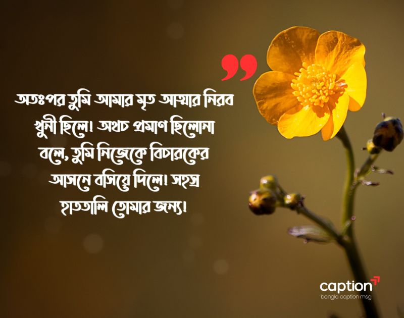 ফেসবুক স্ট্যাটাস ক্যাপশন