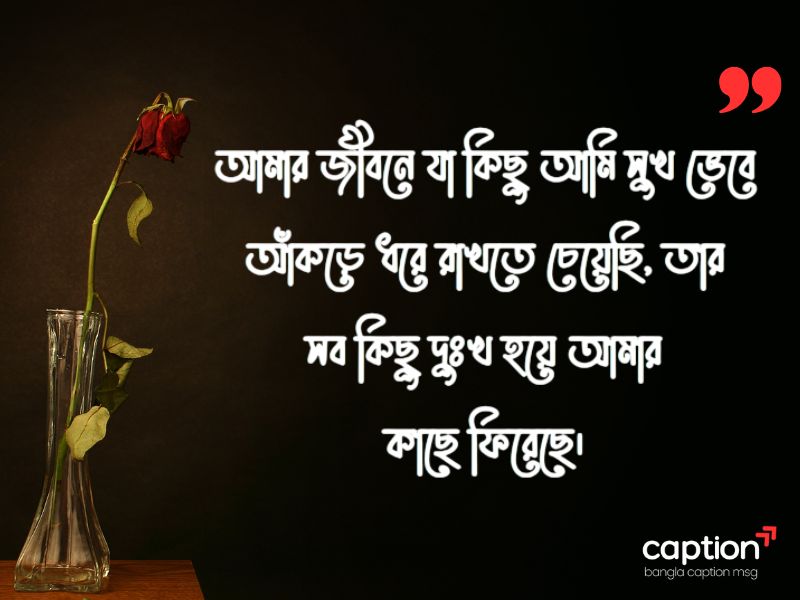 বাংলা ক্যাপশন সেরাটা