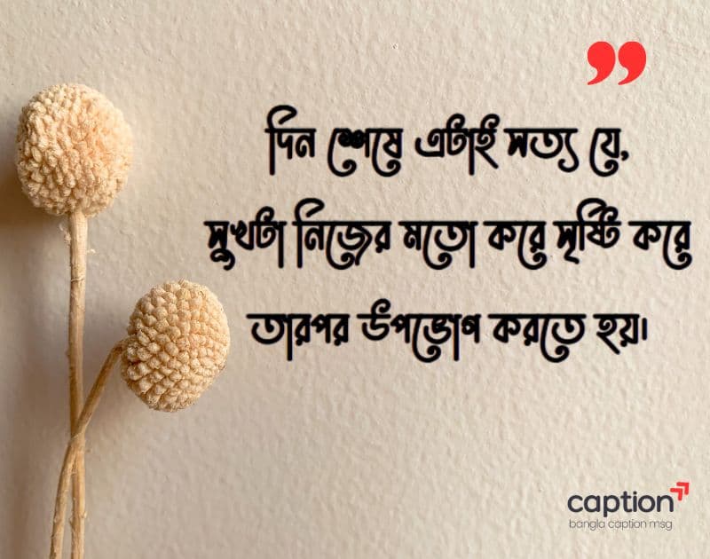 বাস্তবতা নিয়ে কিছু কথা পিক