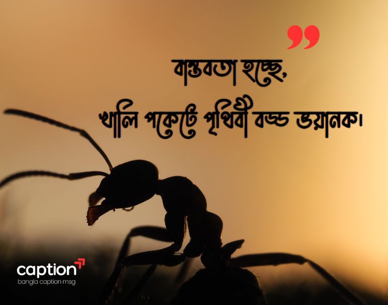 বাস্তবতা নিয়ে কিছু পোস্ট