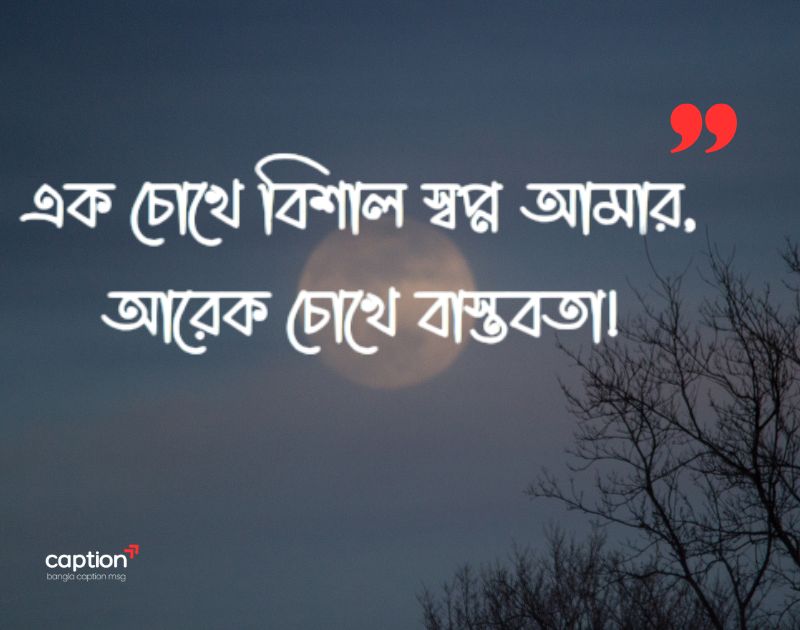 বাস্তবতা নিয়ে ক্যাপশন