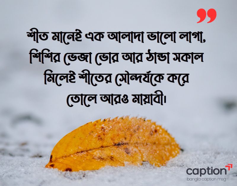 শীত নিয়ে ক্যাপশন