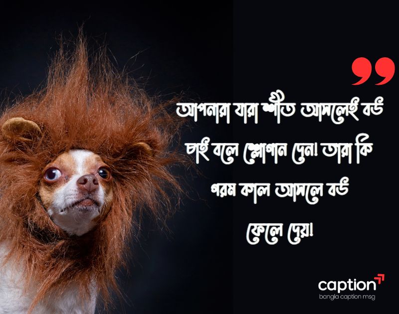 শীত নিয়ে ফানি ক্যাপশন