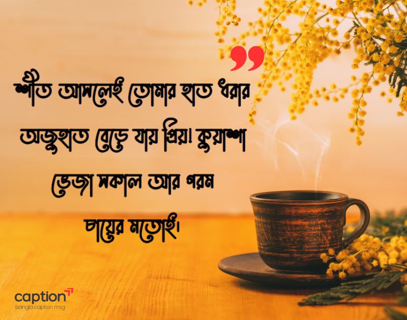 শীত নিয়ে রোমান্টিক স্ট্যাটাস