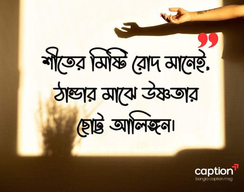 শীতের মিষ্টি রোদ নিয়ে ক্যাপশন