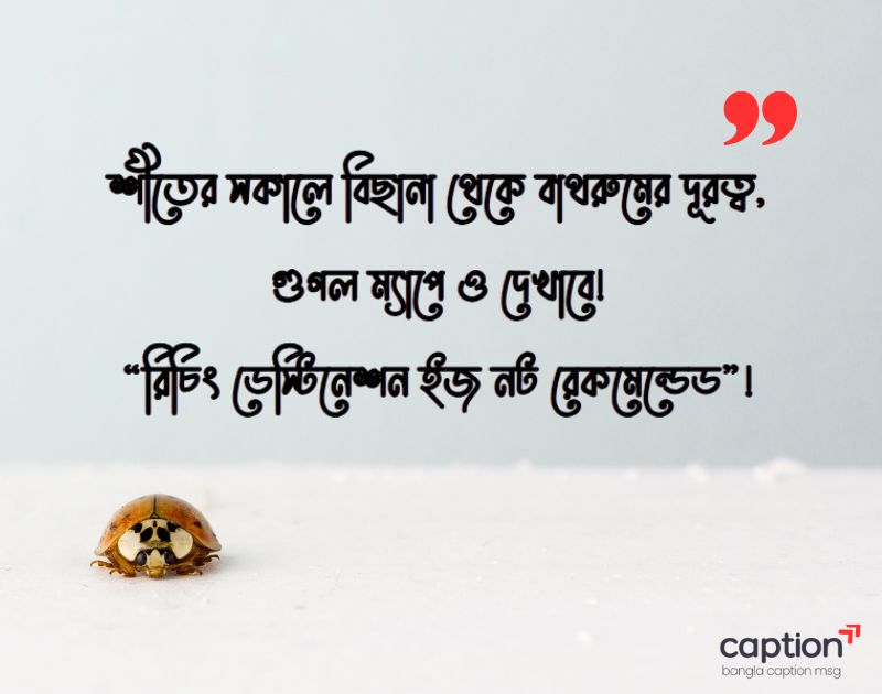 শীতের সকাল নিয়ে ক্যাপশন