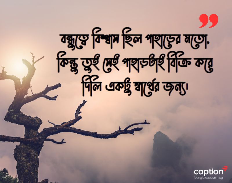 স্বার্থপর বন্ধু নিয়ে স্ট্যাটাস ছবি