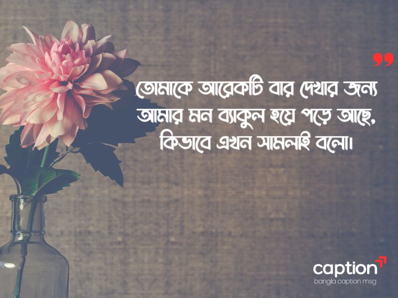 হবু বউ নিয়ে স্ট্যাটাস