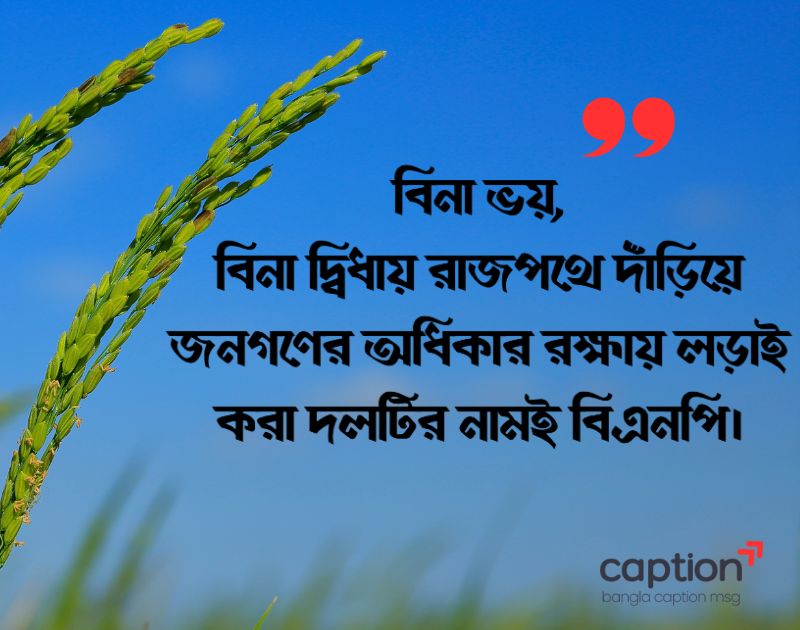 বিএনপি নিয়ে ক্যাপশন