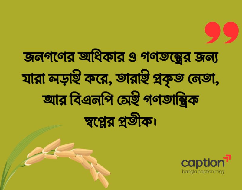 বিএনপি নিয়ে ফেসবুক স্ট্যাটাস