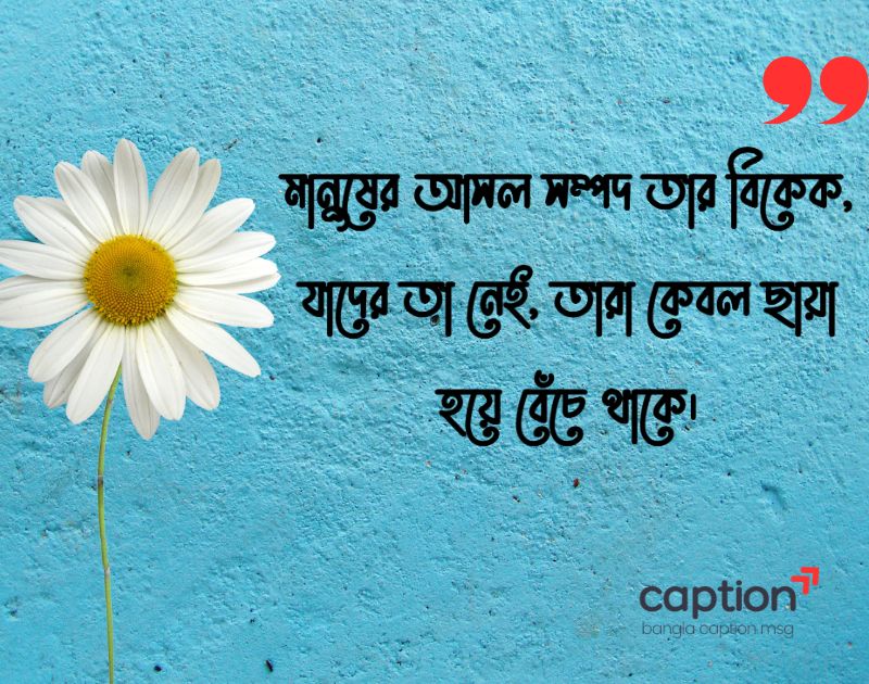 বিবেক নিয়ে ক্যাপশন