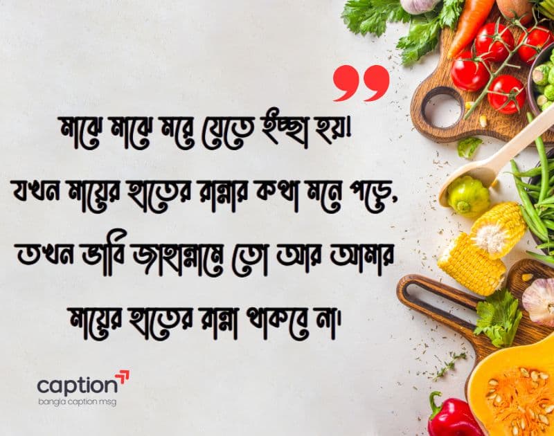 মায়ের হাতের রান্না নিয়ে স্ট্যাটাস