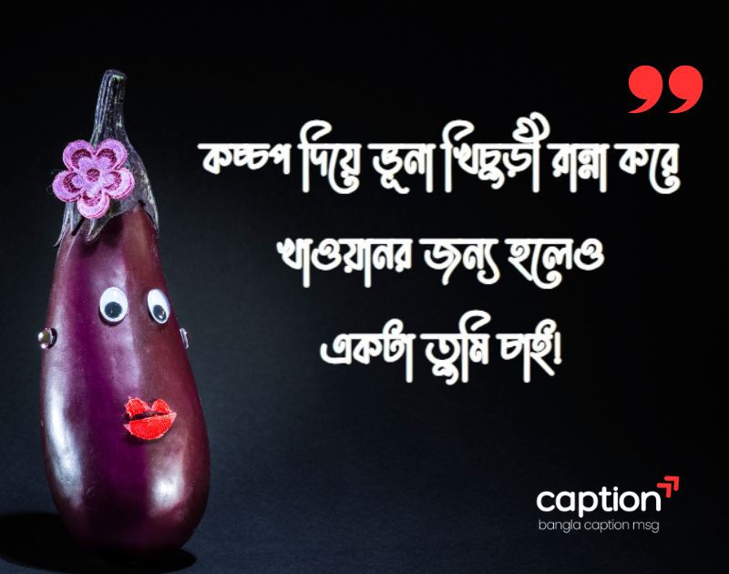 রান্না নিয়ে ফানি ক্যাপশন