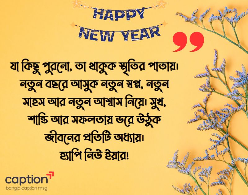 হ্যাপি নিউ ইয়ার ক্যাপশন