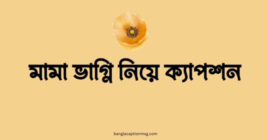 মামা ভাগ্নি নিয়ে ক্যাপশন