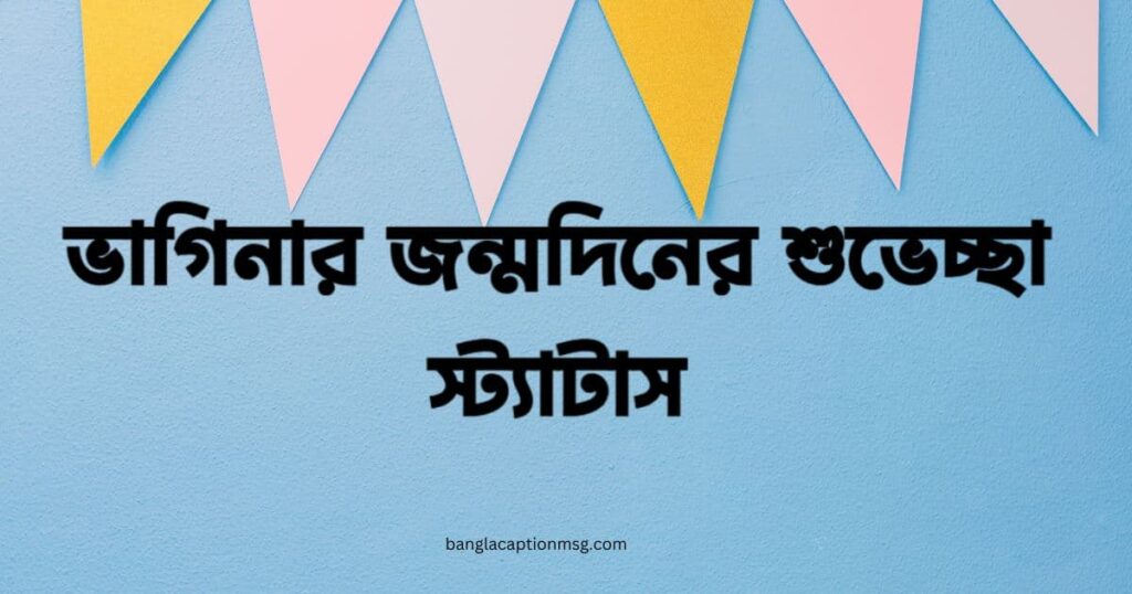 ভাগিনার জন্মদিনের শুভেচ্ছা স্ট্যাটাস
