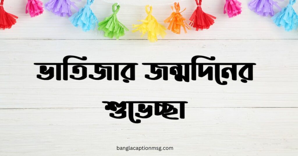 ভাতিজার জন্মদিনের শুভেচ্ছা