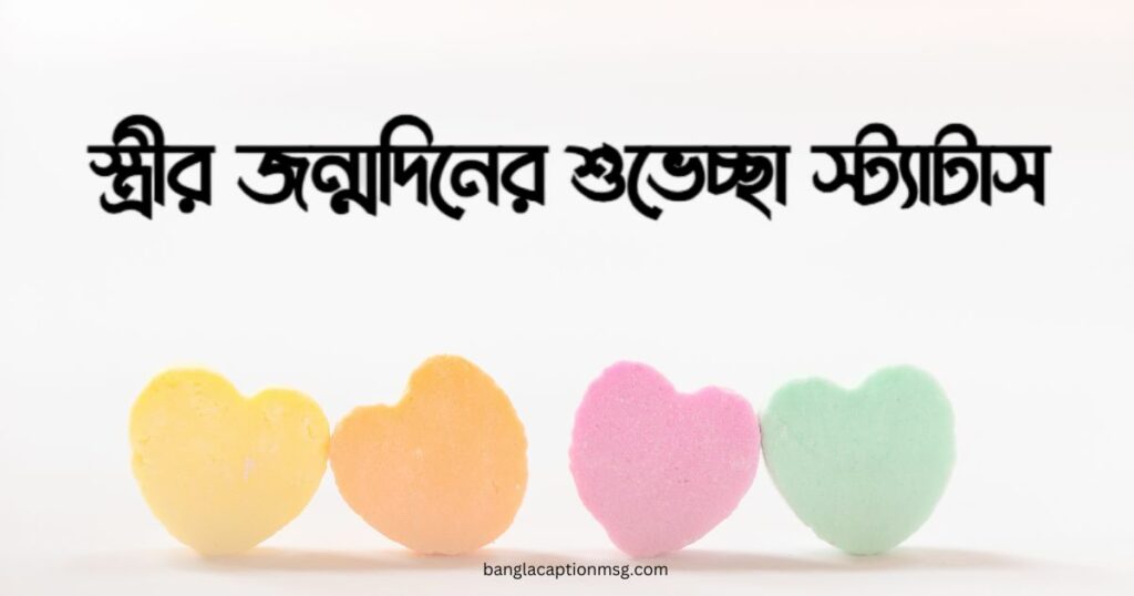 স্ত্রীর জন্মদিনের শুভেচ্ছা স্ট্যাটাস