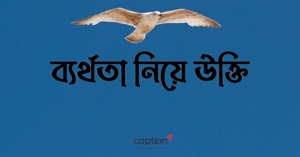 ব্যর্থতা নিয়ে উক্তি