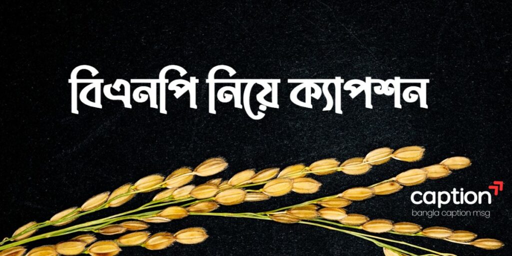 বিএনপি নিয়ে ক্যাপশন