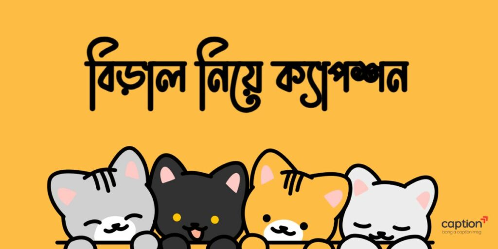 বিড়াল নিয়ে ক্যাপশন